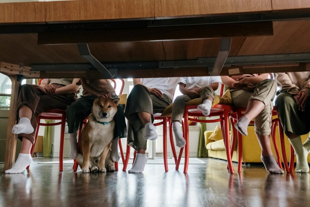 A group of people and a dog gathered under a table, showcasing warmth and togetherness indoors.