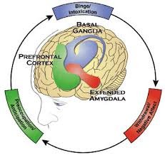 the cycle of addiction